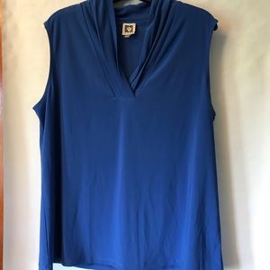 Blue Ann Klein top